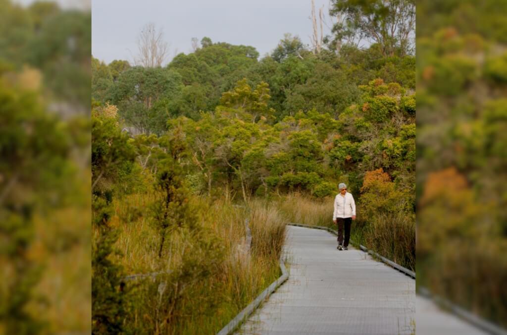 Person in a white jacket and dark pants walking on a boardwalk path through dense greenery and trees in a forested area.